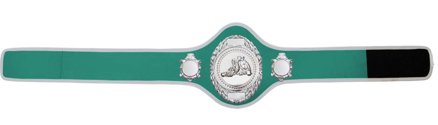 JIU JITSU CHAMPIONSHIP BELT-PRO286/S/JJS-10+ COLOURS